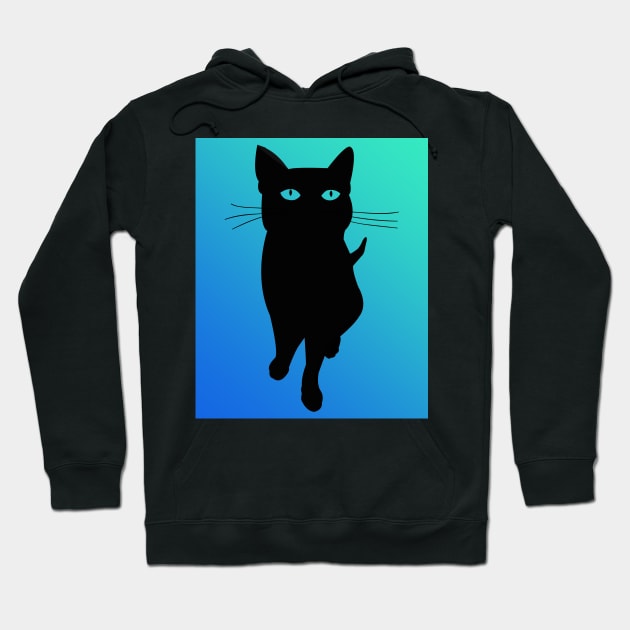 Black Cat Aqua Hoodie by Sleazoid